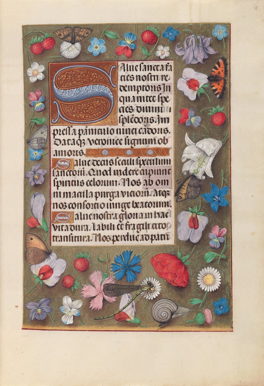Ore di Isabella la Cattolica, Regina di Spagna: Fol. 15r, c. 1500 da Master of the First Prayerbook of Maximillian