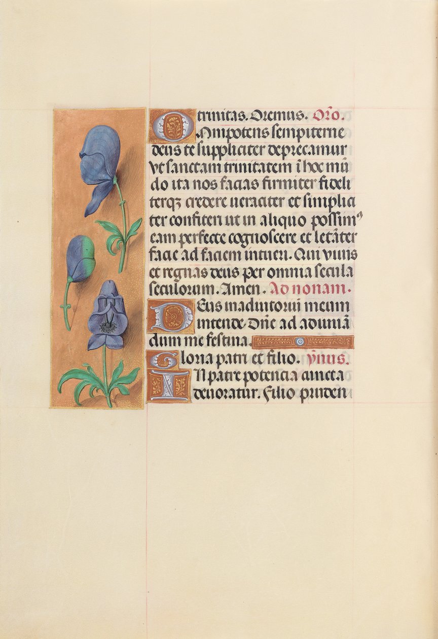 Ore della regina Isabella la Cattolica, regina di Spagna:  Fol. 20v da Master of the First Prayerbook of Maximillian