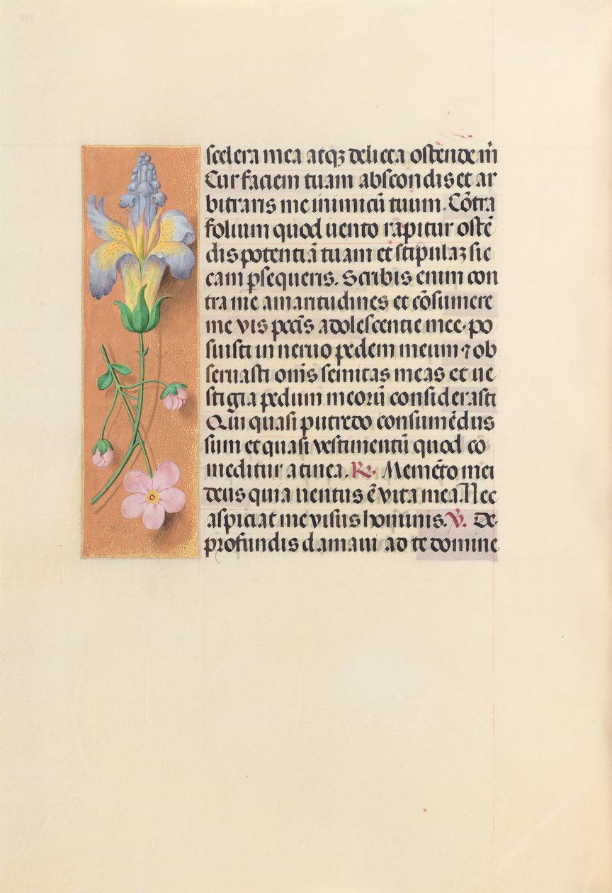 Ore di Isabella la Cattolica, regina di Spagna: Fol. 237v, c. 1500 da Master of the First Prayerbook of Maximillian