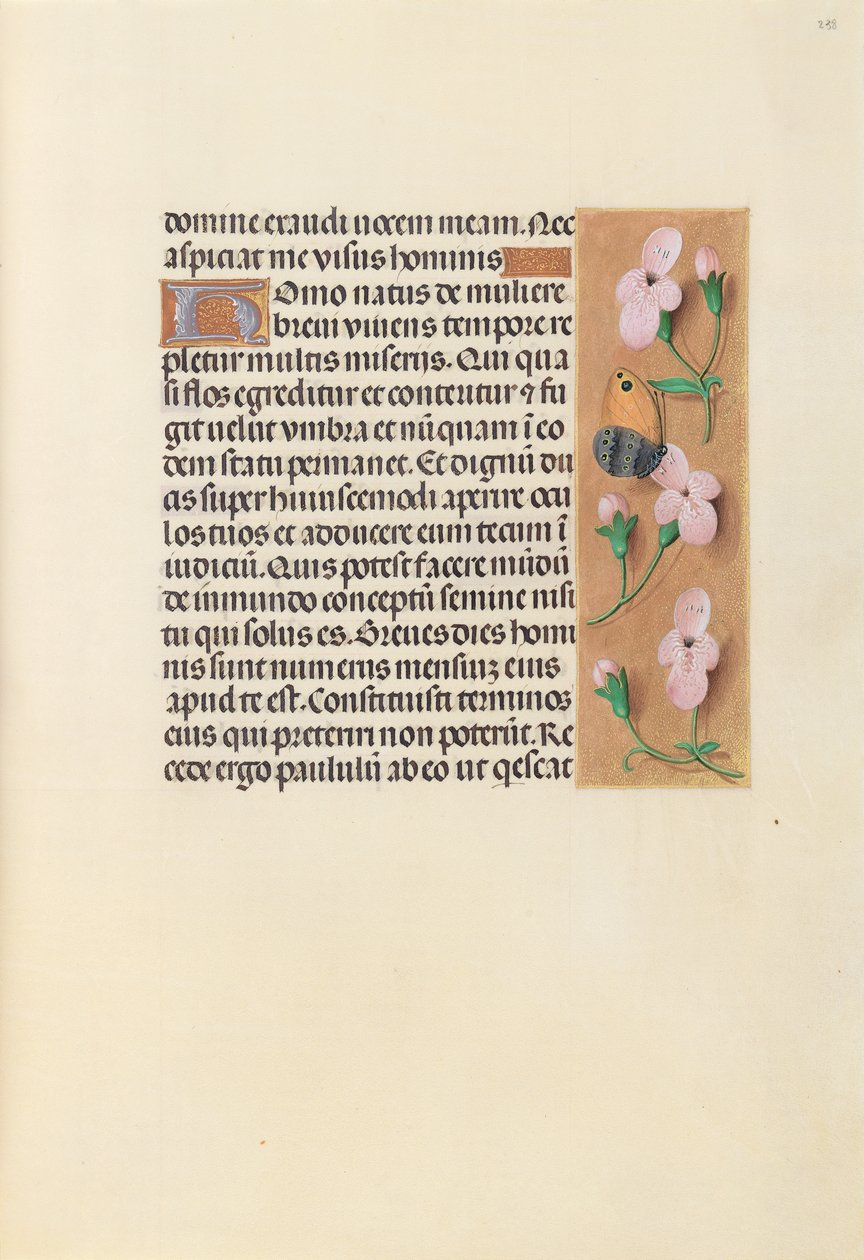 Ore di Isabella la Cattolica, Regina di Spagna: Fol. 238r da Master of the First Prayerbook of Maximillian