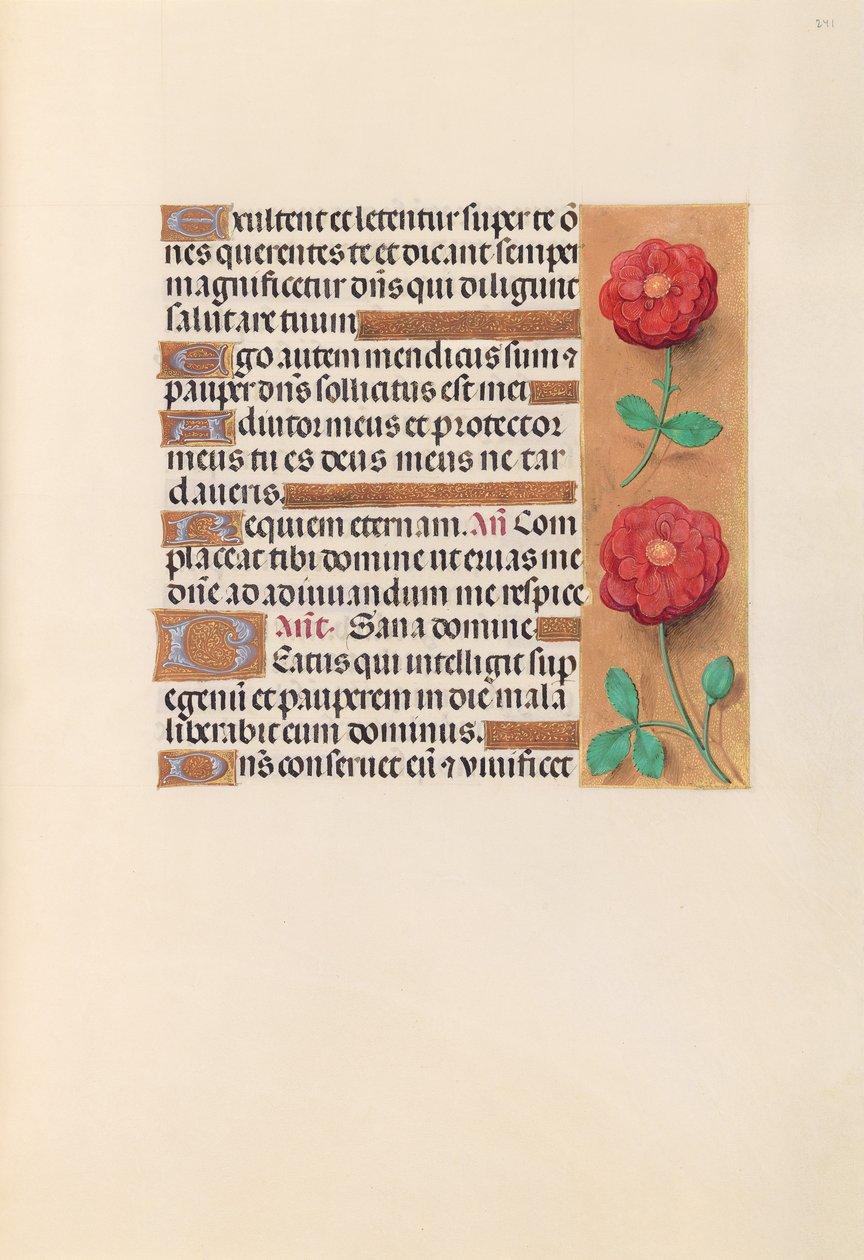 Ore della regina Isabella la Cattolica, regina di Spagna: Fol. 241r da Master of the First Prayerbook of Maximillian