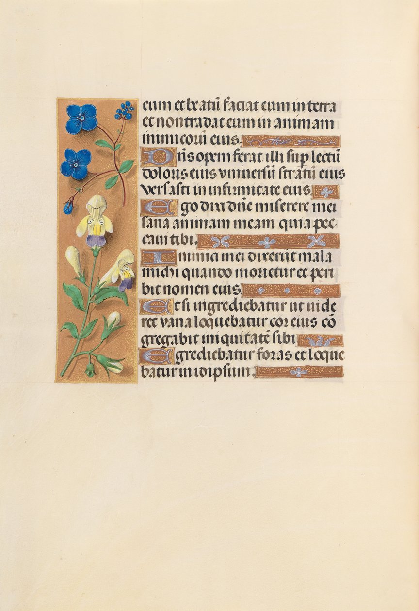 Ore di Isabella la Cattolica, regina di Spagna: Fol. 241v da Master of the First Prayerbook of Maximillian