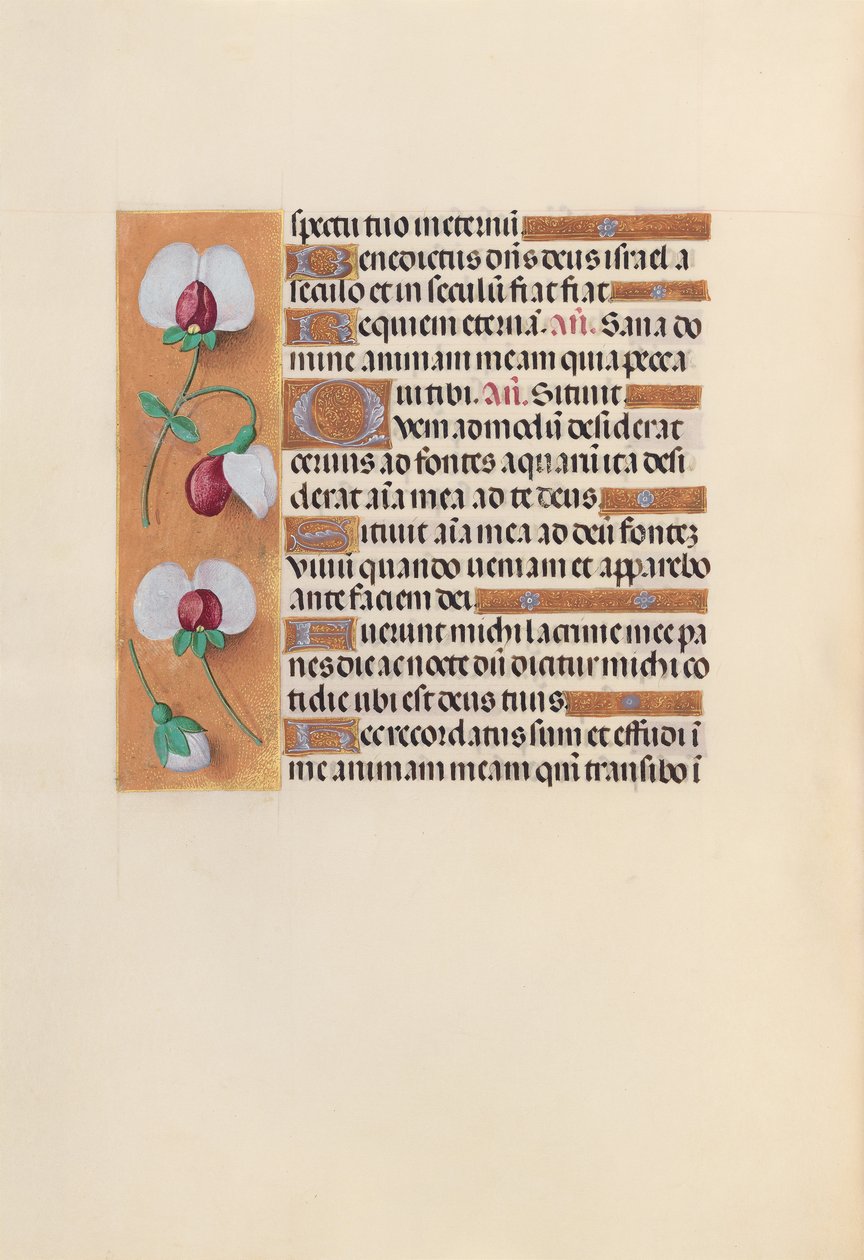 Ore di Isabella la Cattolica, Regina di Spagna: Fol. 242v, c. 1500 da Master of the First Prayerbook of Maximillian