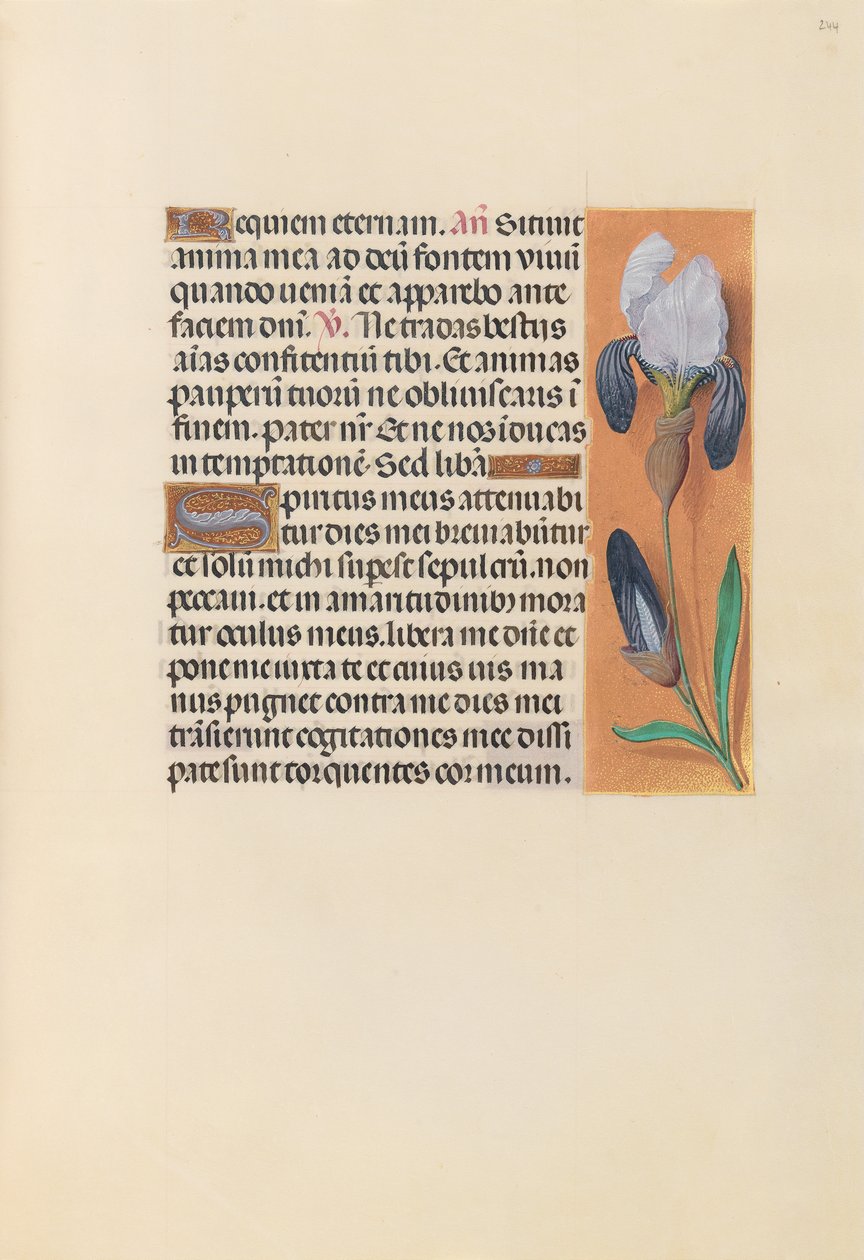 Ore della regina Isabella la Cattolica, regina di Spagna: Fol. 244r, c. 1500 da Master of the First Prayerbook of Maximillian