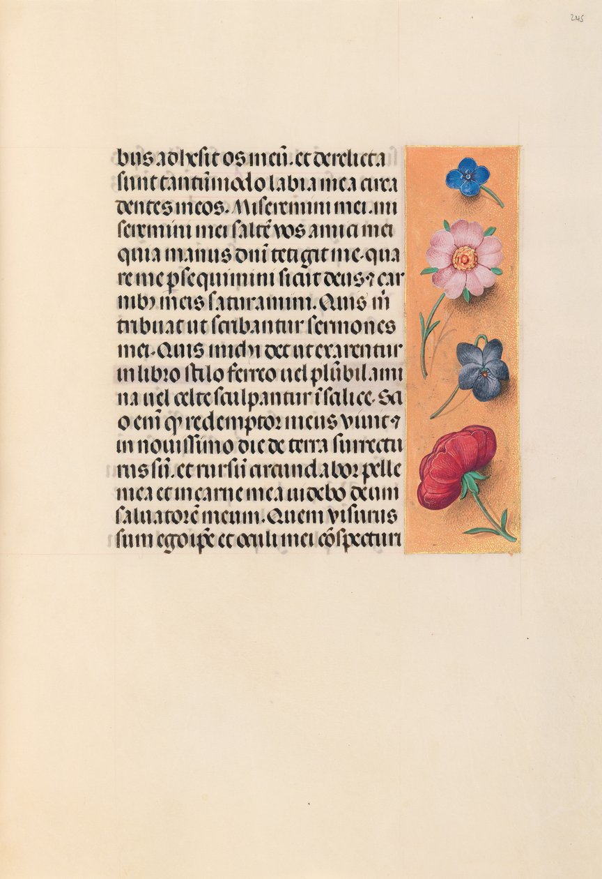Ore della regina Isabella la Cattolica, regina di Spagna: Fol. 245r, c. 1500 da Master of the First Prayerbook of Maximillian