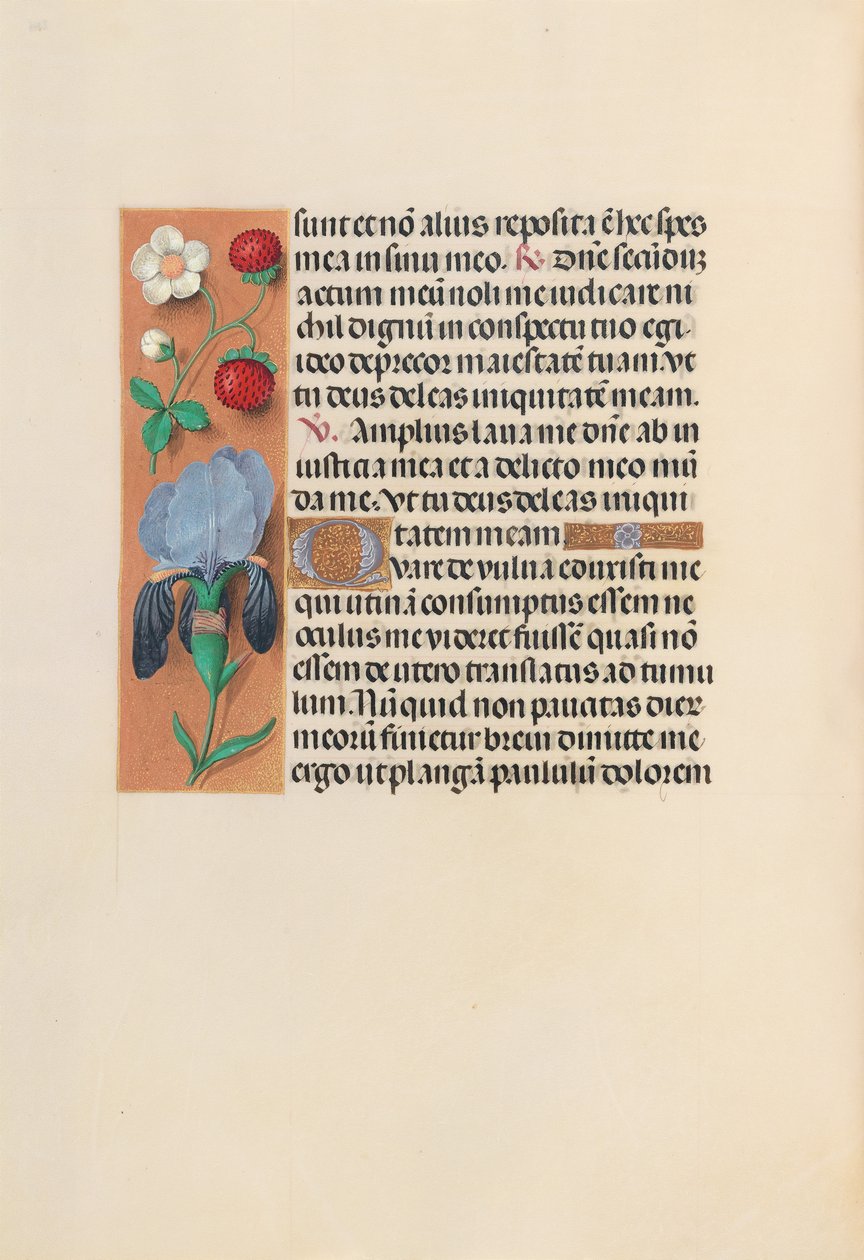 Ore di Isabella la Cattolica, Regina di Spagna: Fol. 245v, c. 1500 da Master of the First Prayerbook of Maximillian