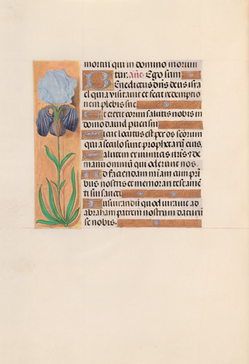 Ore della Regina Isabella la Cattolica, Regina di Spagna: Fol. 254v da Master of the First Prayerbook of Maximillian