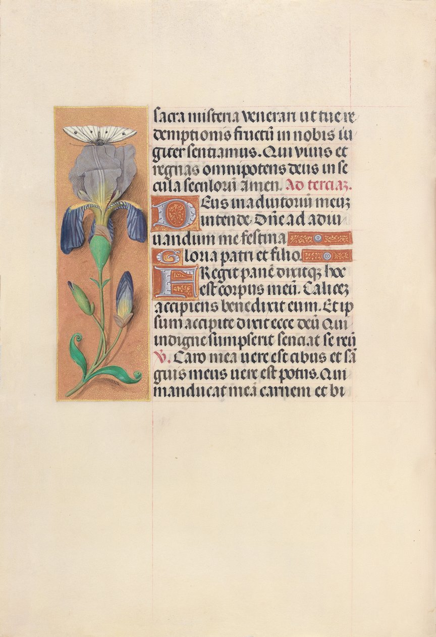 Ore della Regina Isabella la Cattolica, Regina di Spagna: Fol. 45v, c. 1500 da Master of the First Prayerbook of Maximillian