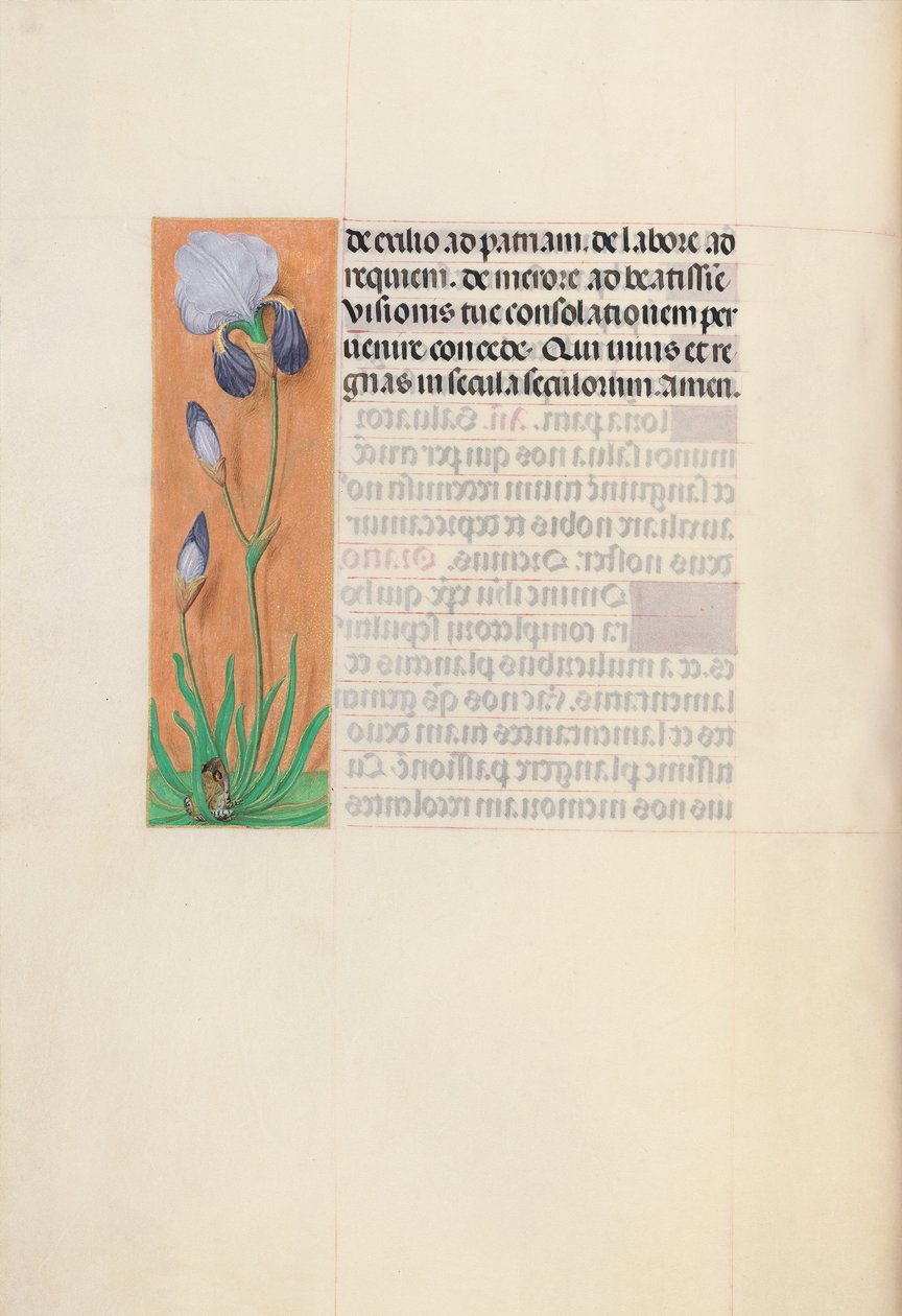 Ore di Isabella la Cattolica, regina di Spagna: Fol. 79v, c. 1500 da Master of the First Prayerbook of Maximillian