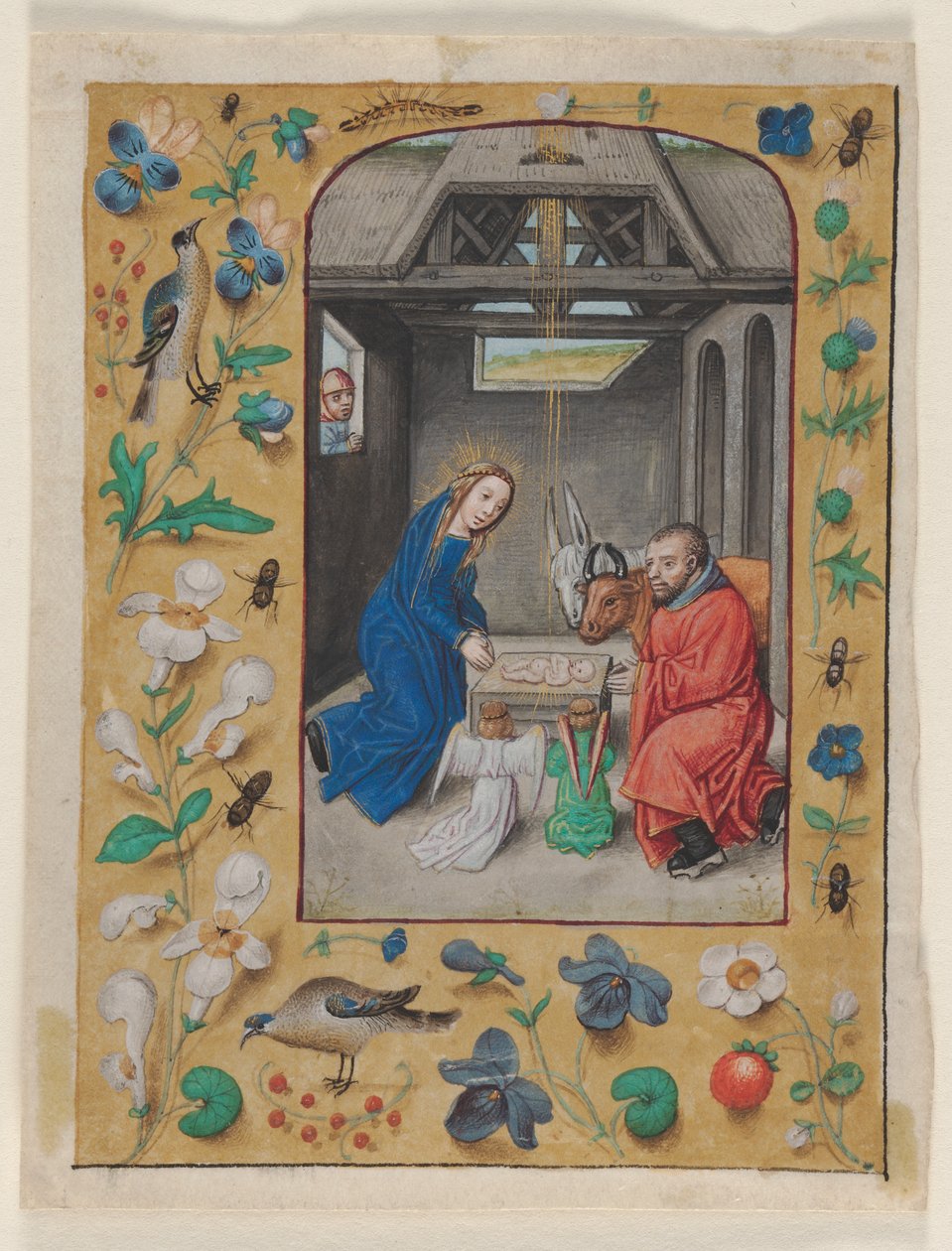 Foglio estratto da un libro d