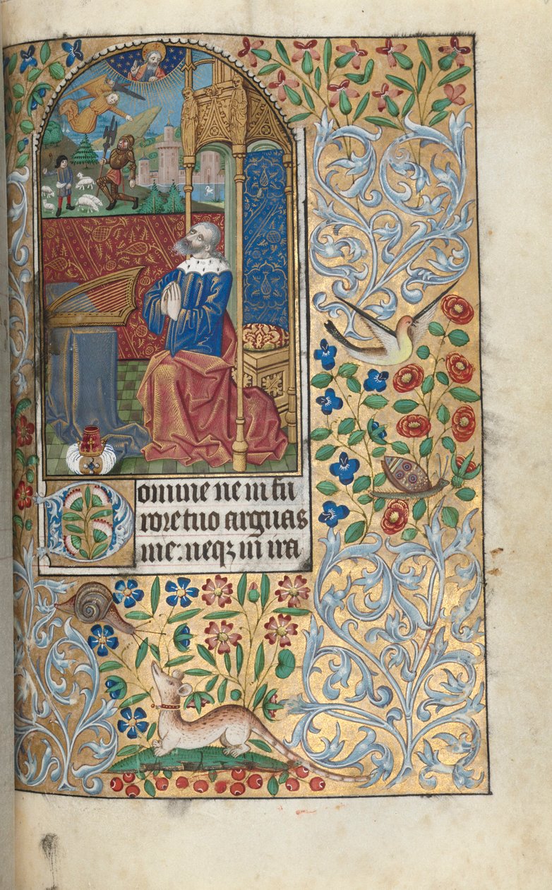 Libro d