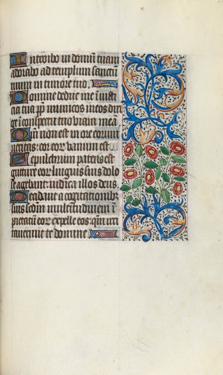 Libro d