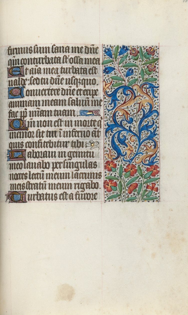 Libro d