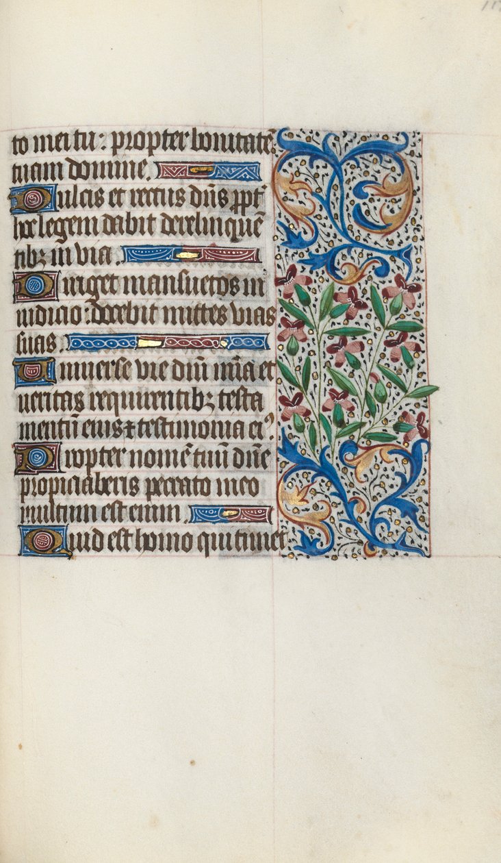 Libro d