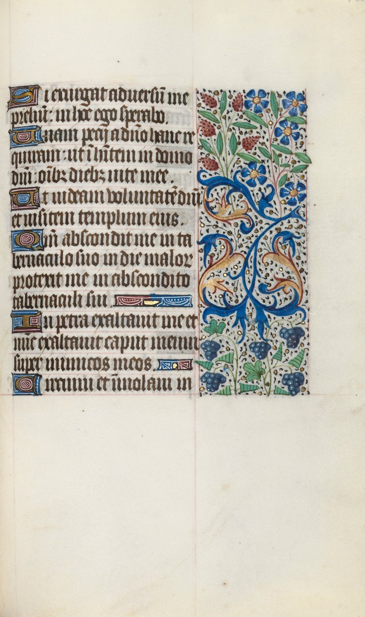 Libro d