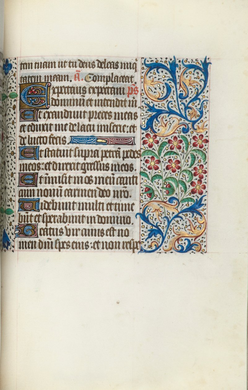 Libro d