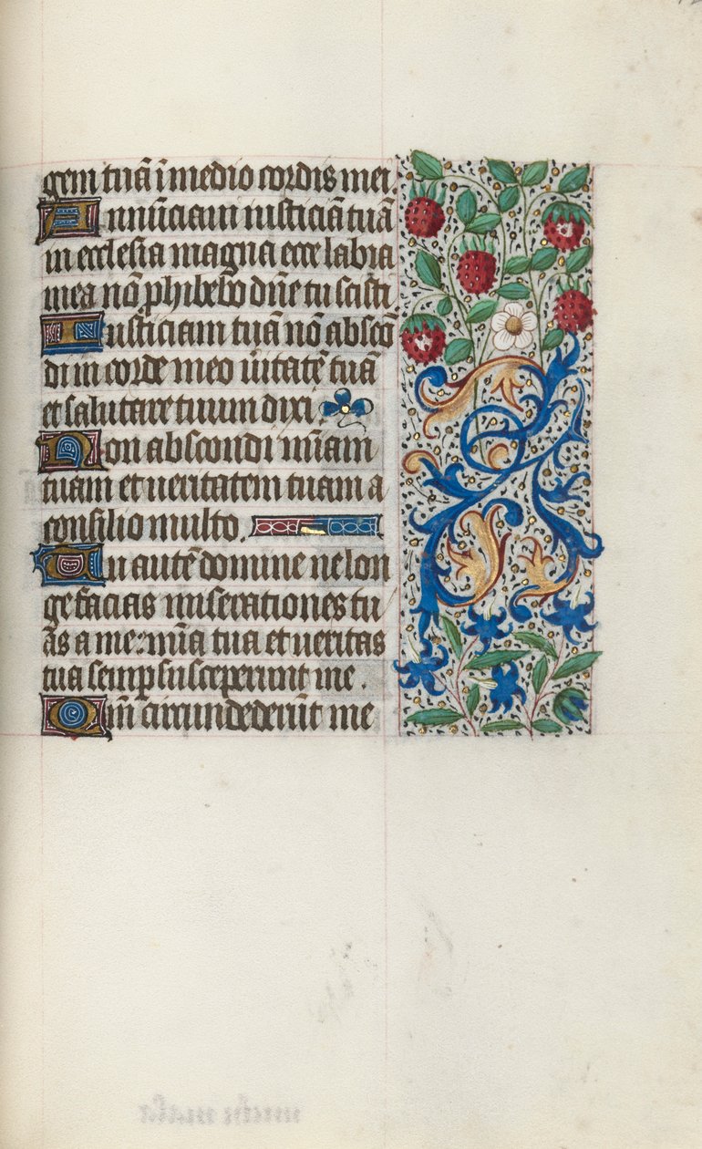 Libro d