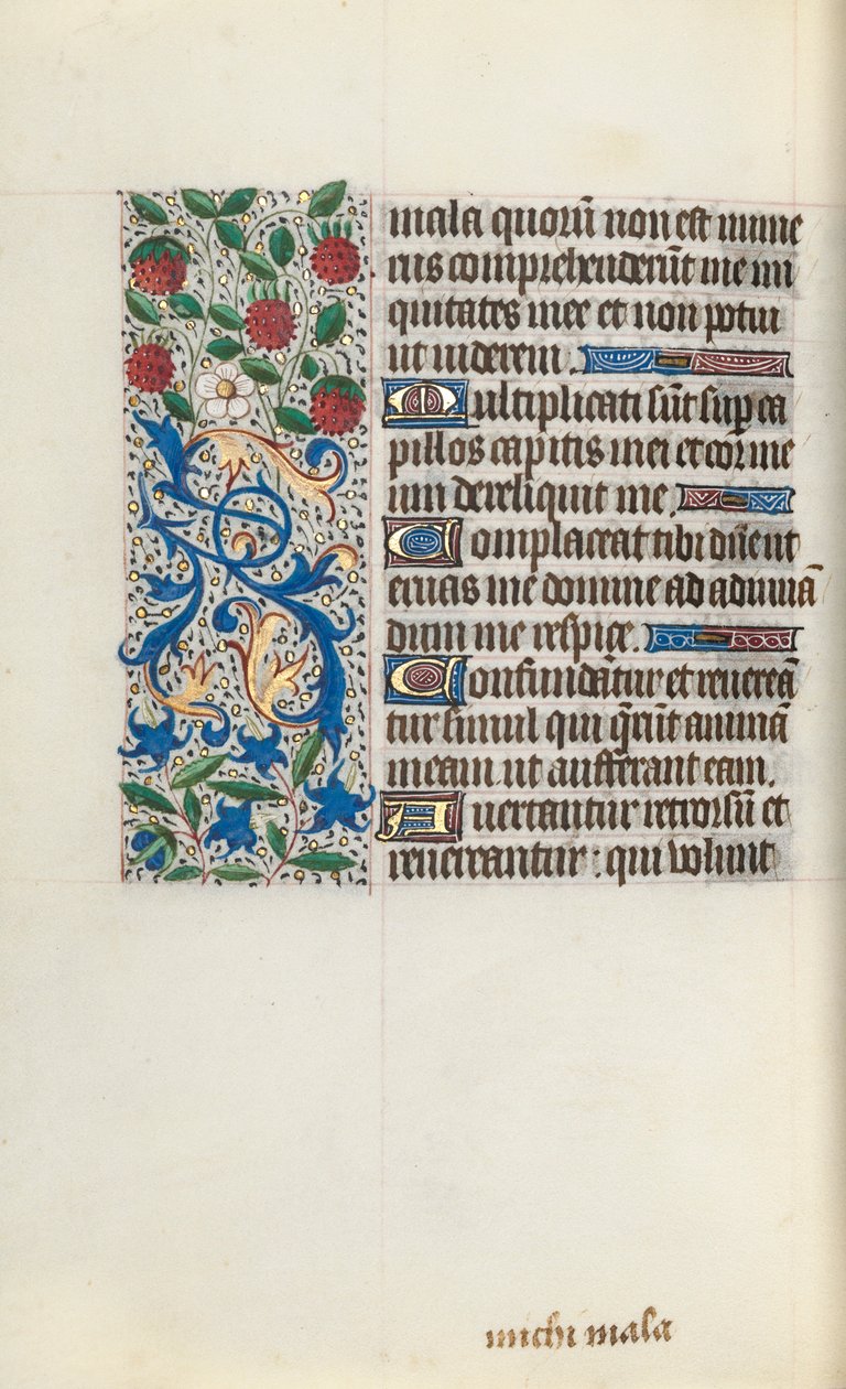 Libro d