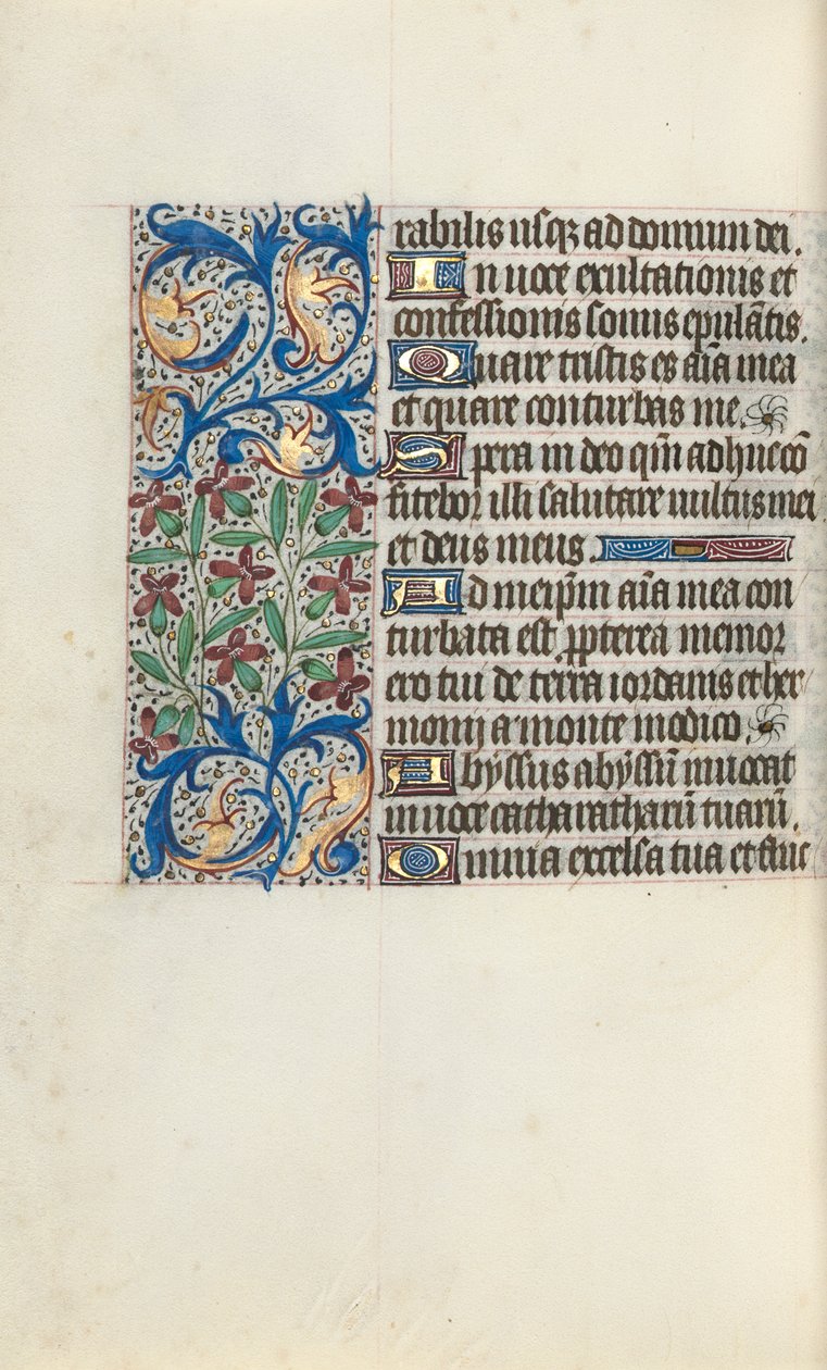 Libro d