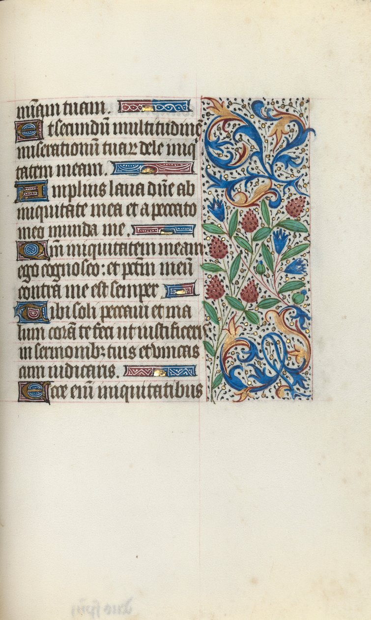Libro d