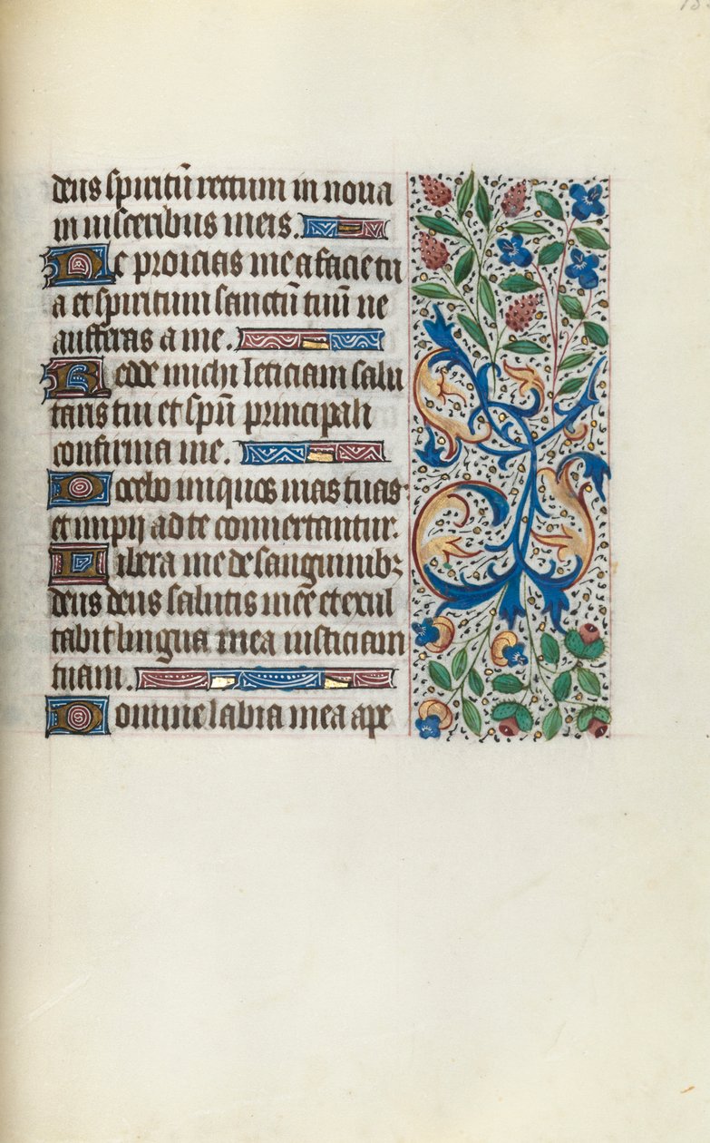Libro d