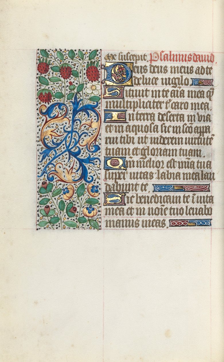 Libro d