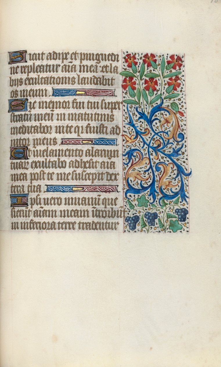 Libro d