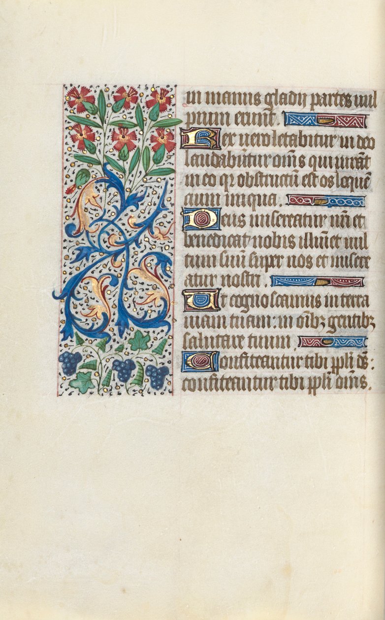 Libro d