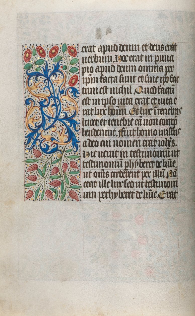 Libro d