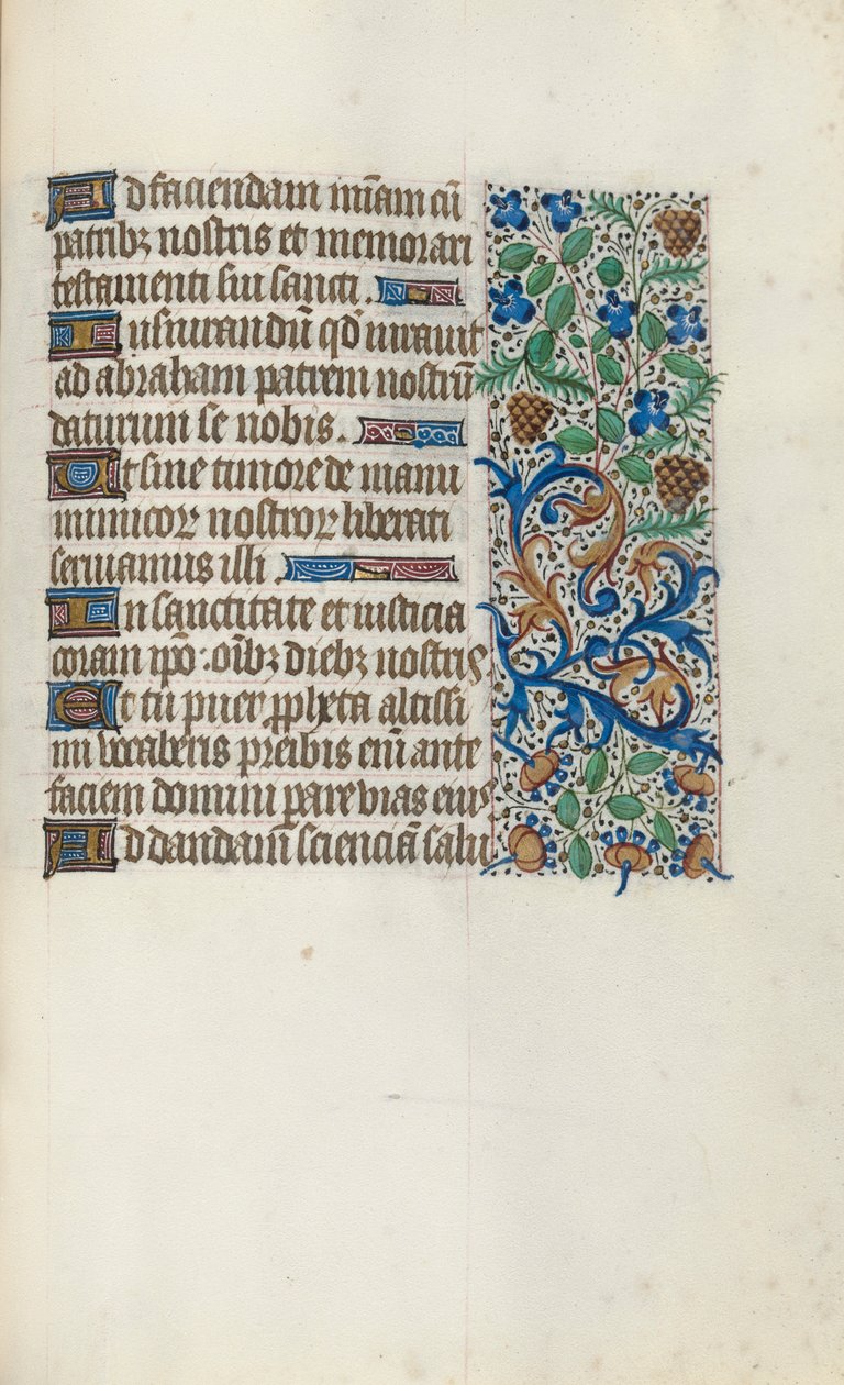 Libro d