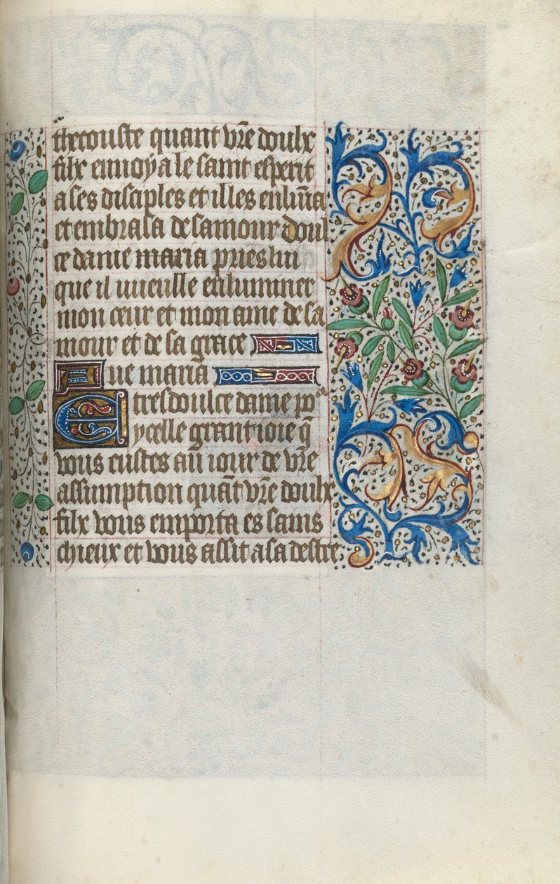 Libro d