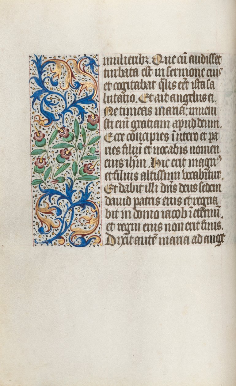 Libro d