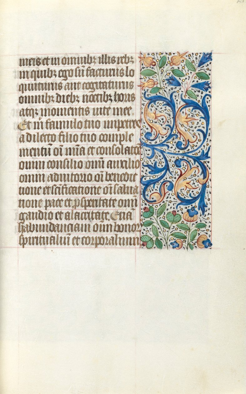 Libro d