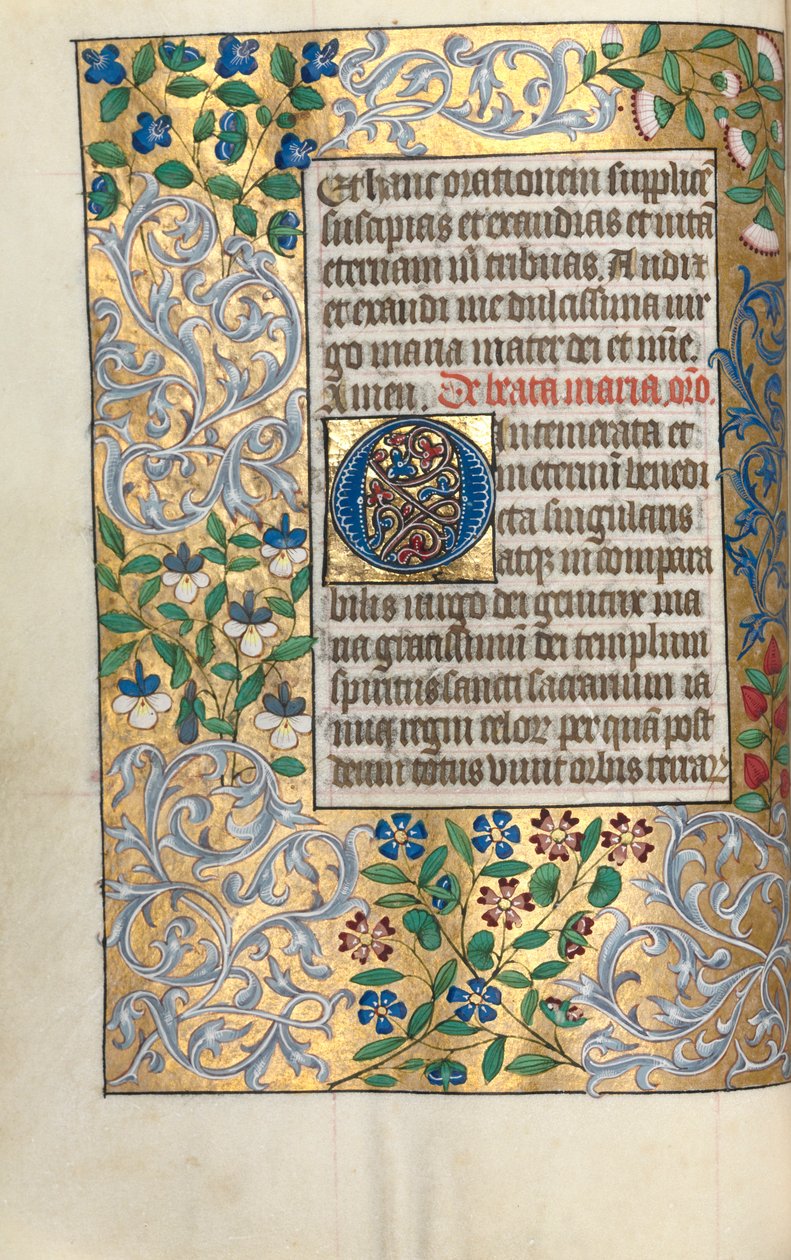Libro d