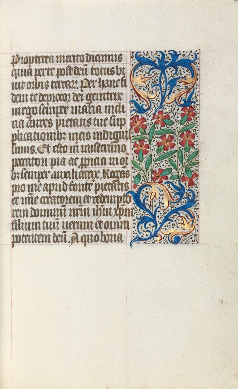Libro d