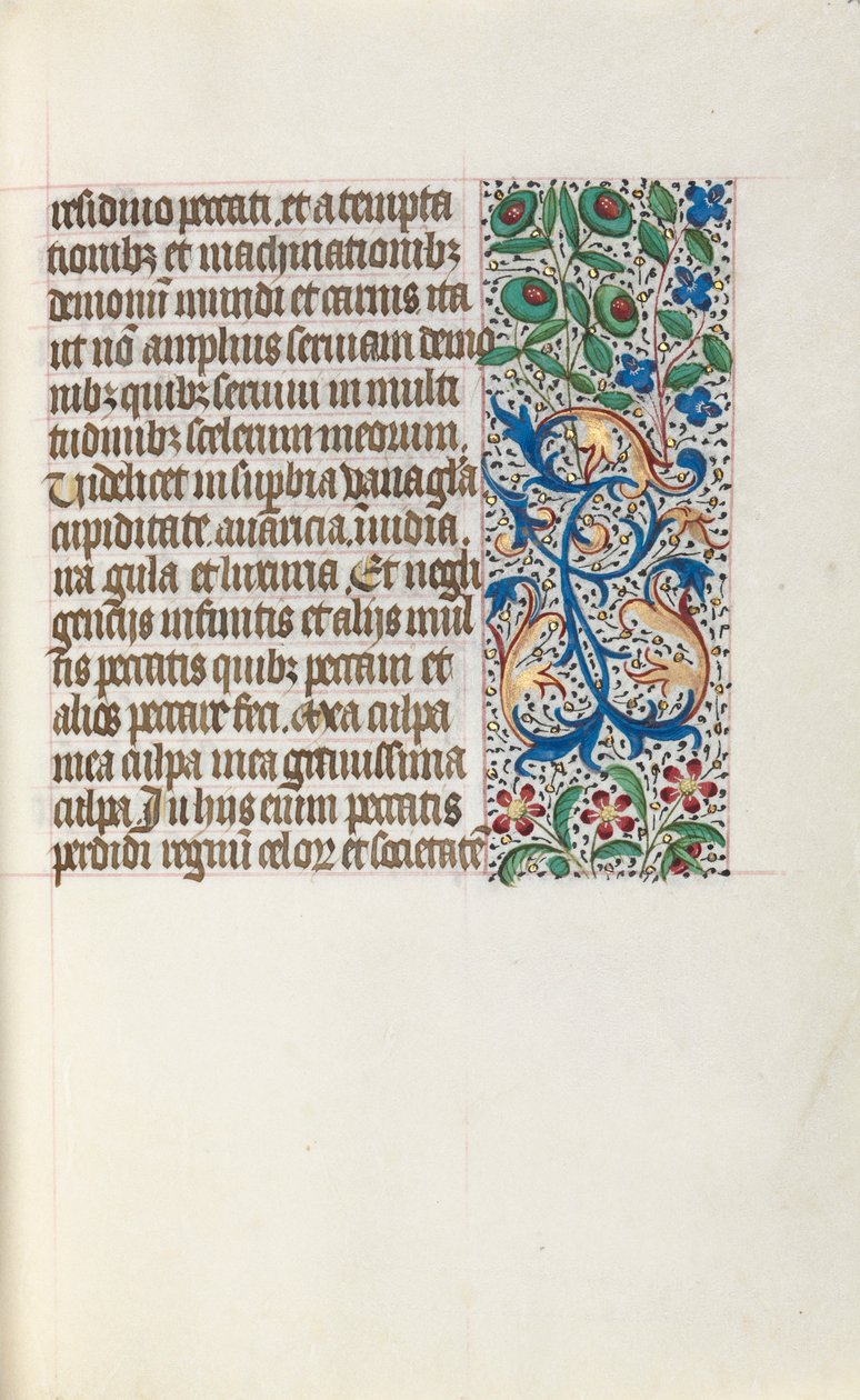 Libro d