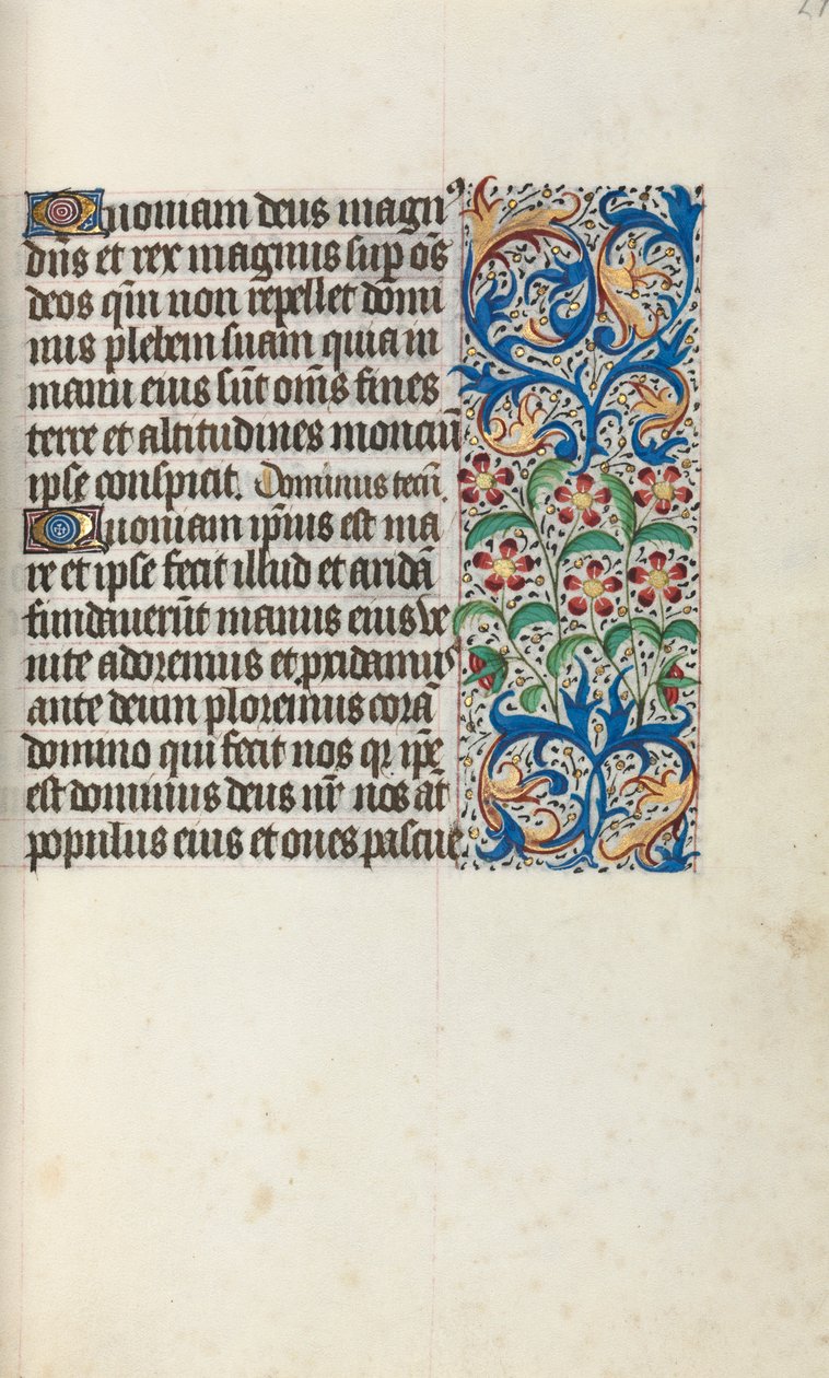 Libro d