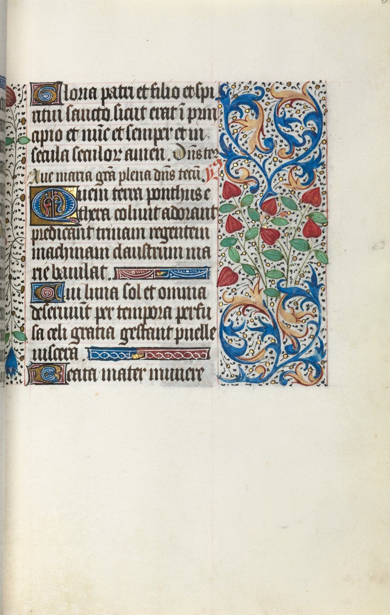 Libro d