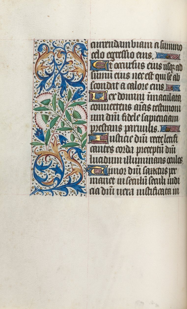 Libro d