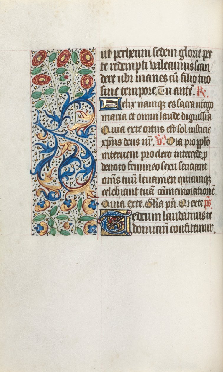 Libro d