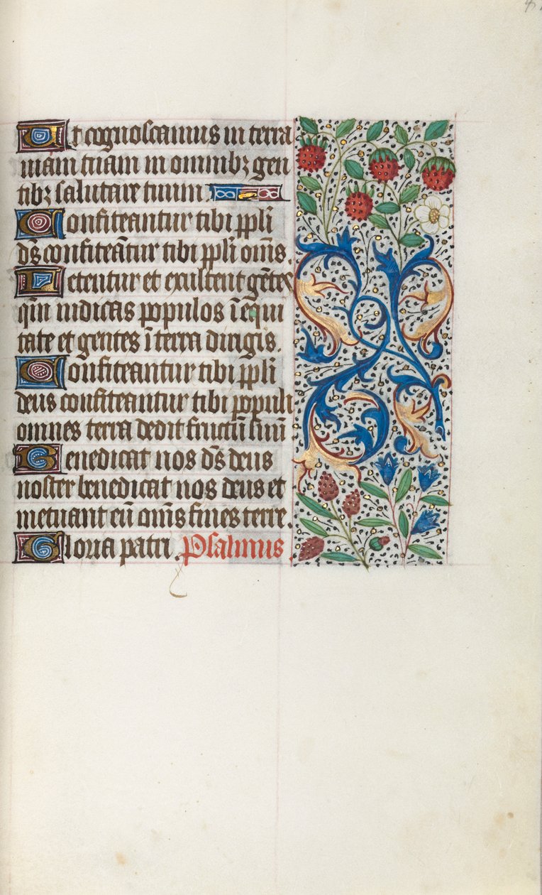 Libro d