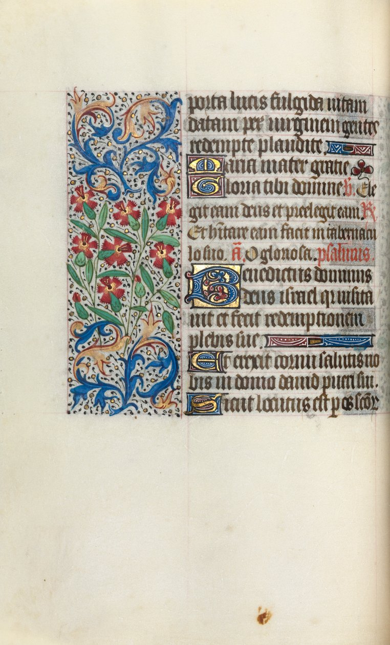 Libro d