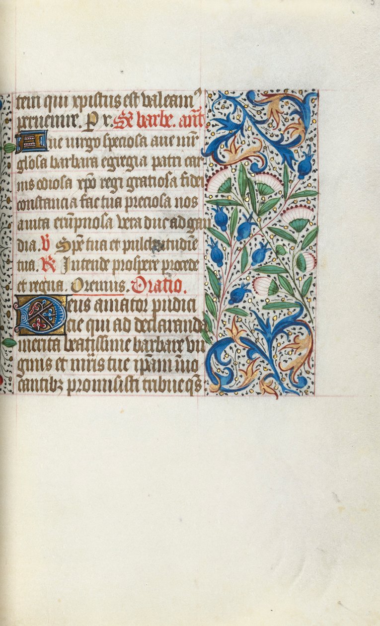 Libro d