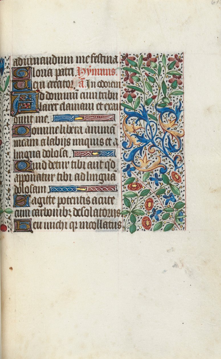 Libro d