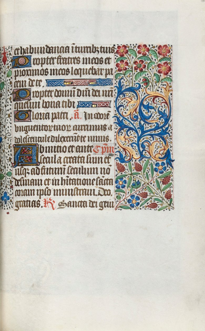 Libro d