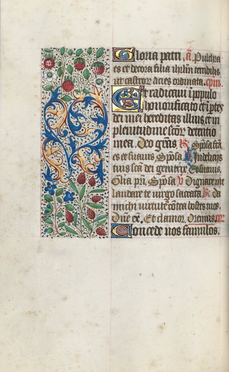 Libro d
