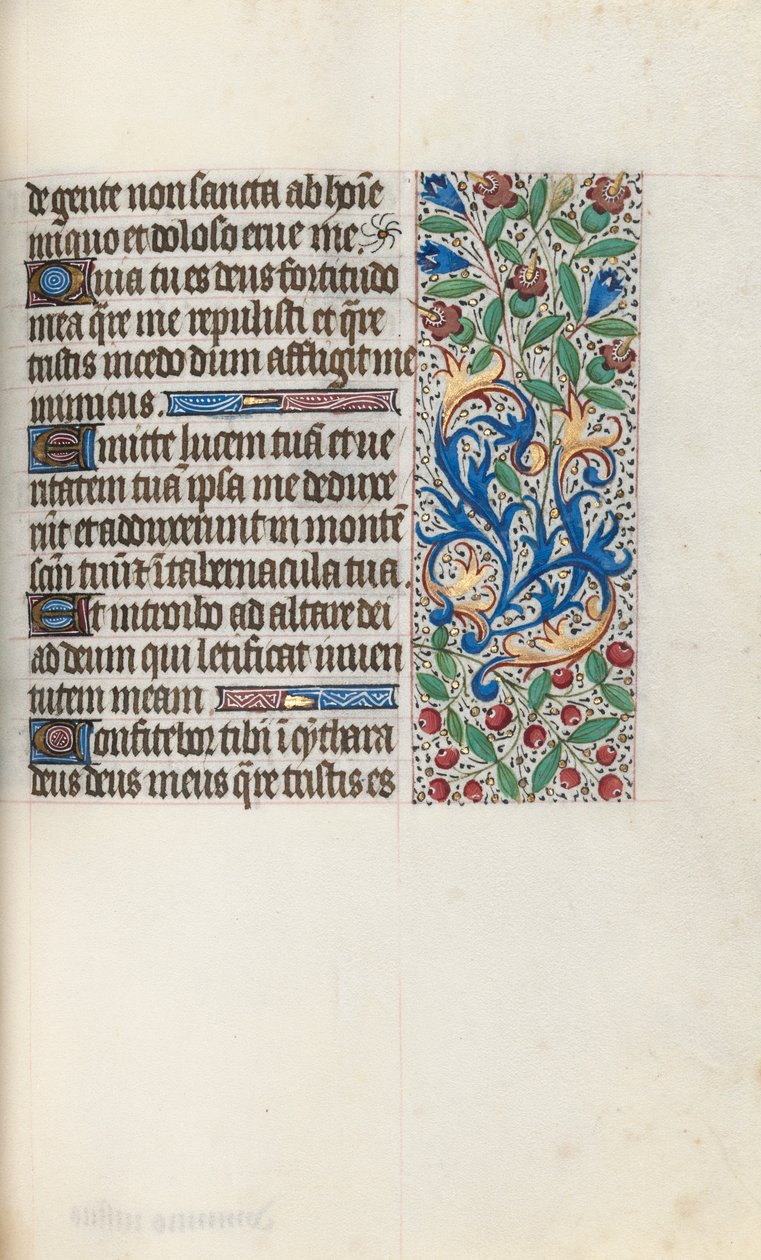 Libro d