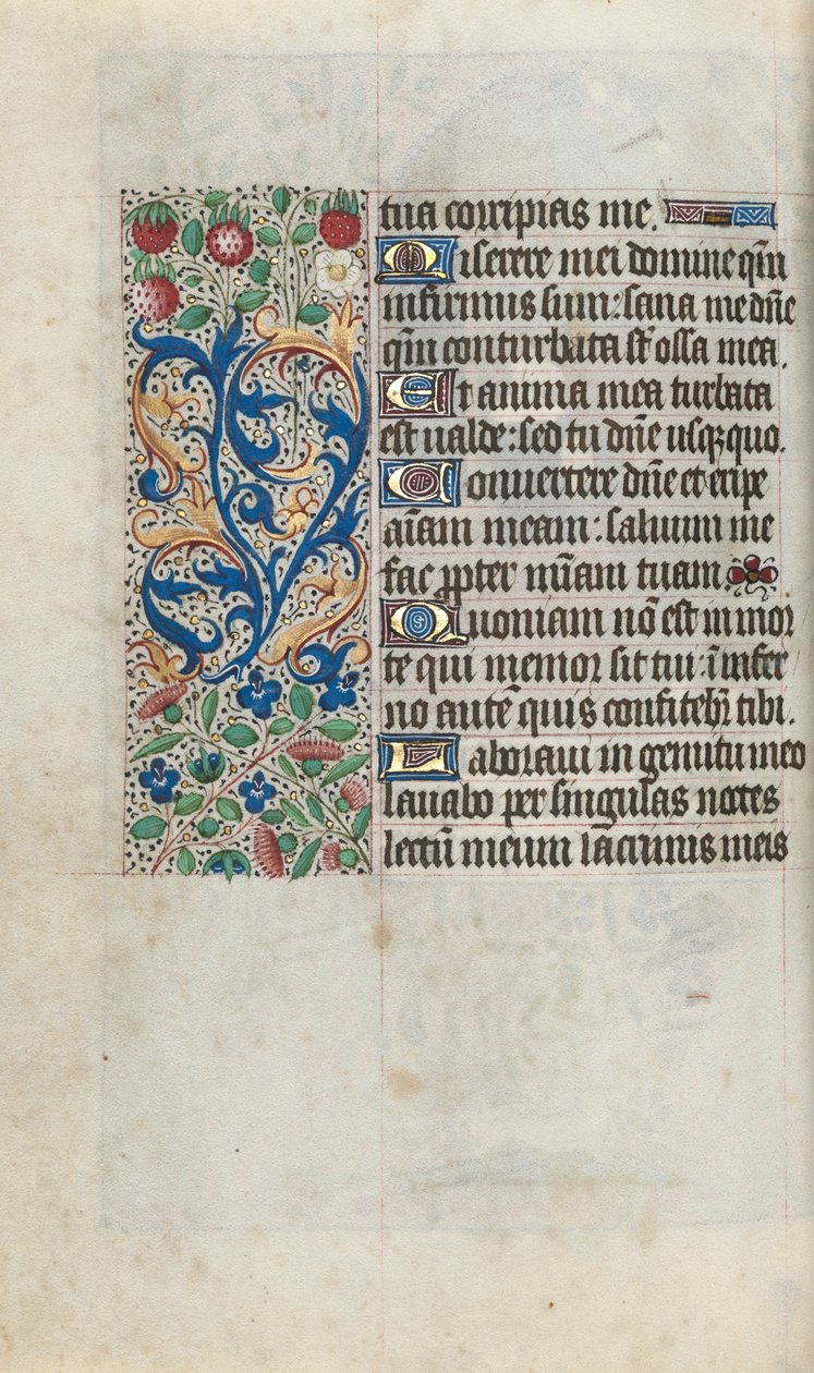 Libro d