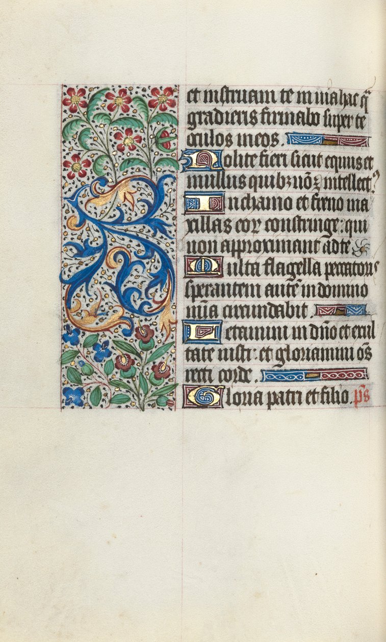 Libro d