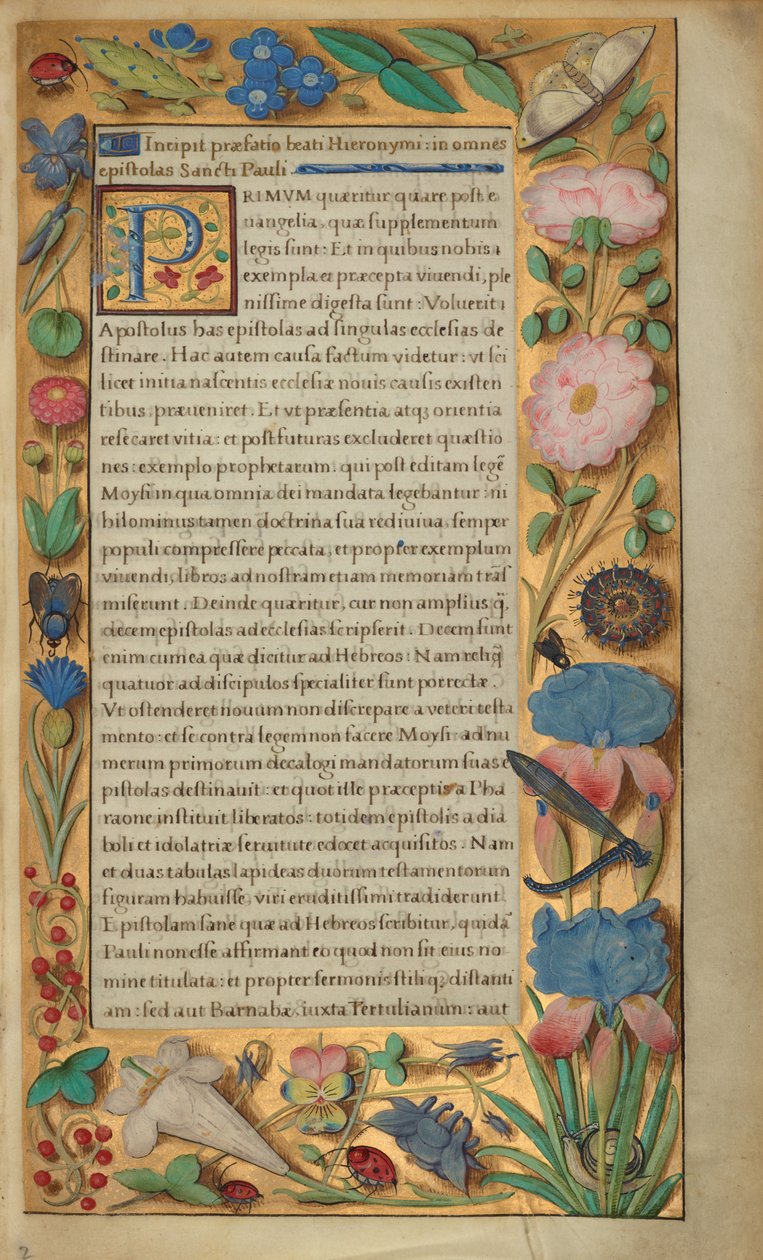 Pagina di testo decorata da Master of the Getty Epistles